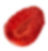 Seed