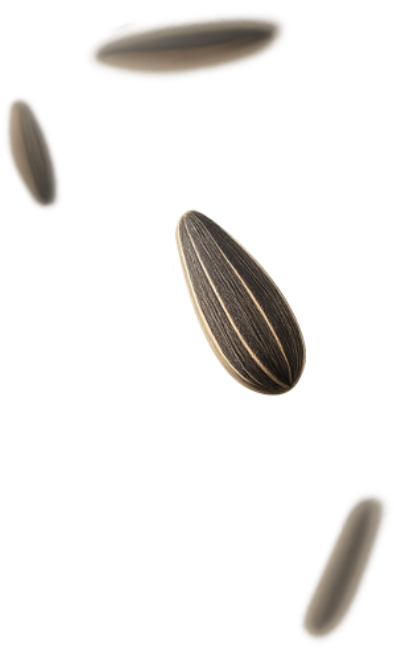Right Product