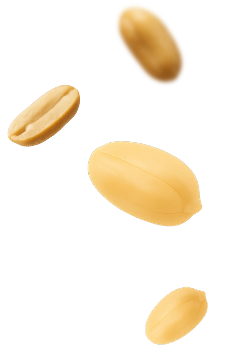 Left Product